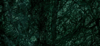 Инфракрасный излучатель Lacoform из натурального камня Verde Guatemala 2241500VG